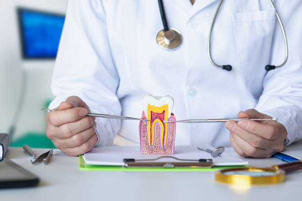 Best Emergency Dental Services for Seniors in Villa Park, CA